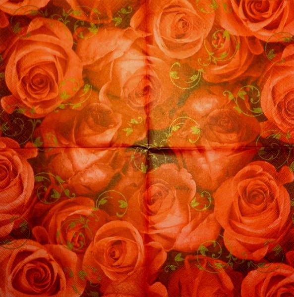 777 Roses - 3-ply (3151) - ppd - Andrea Tilk